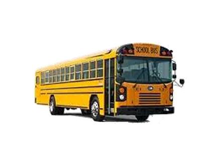 School Bus - All American (2023 - ..)